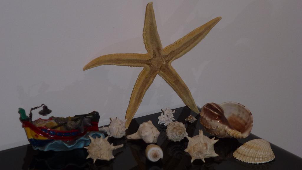 Sea Star Apartment Cefalu Room photo